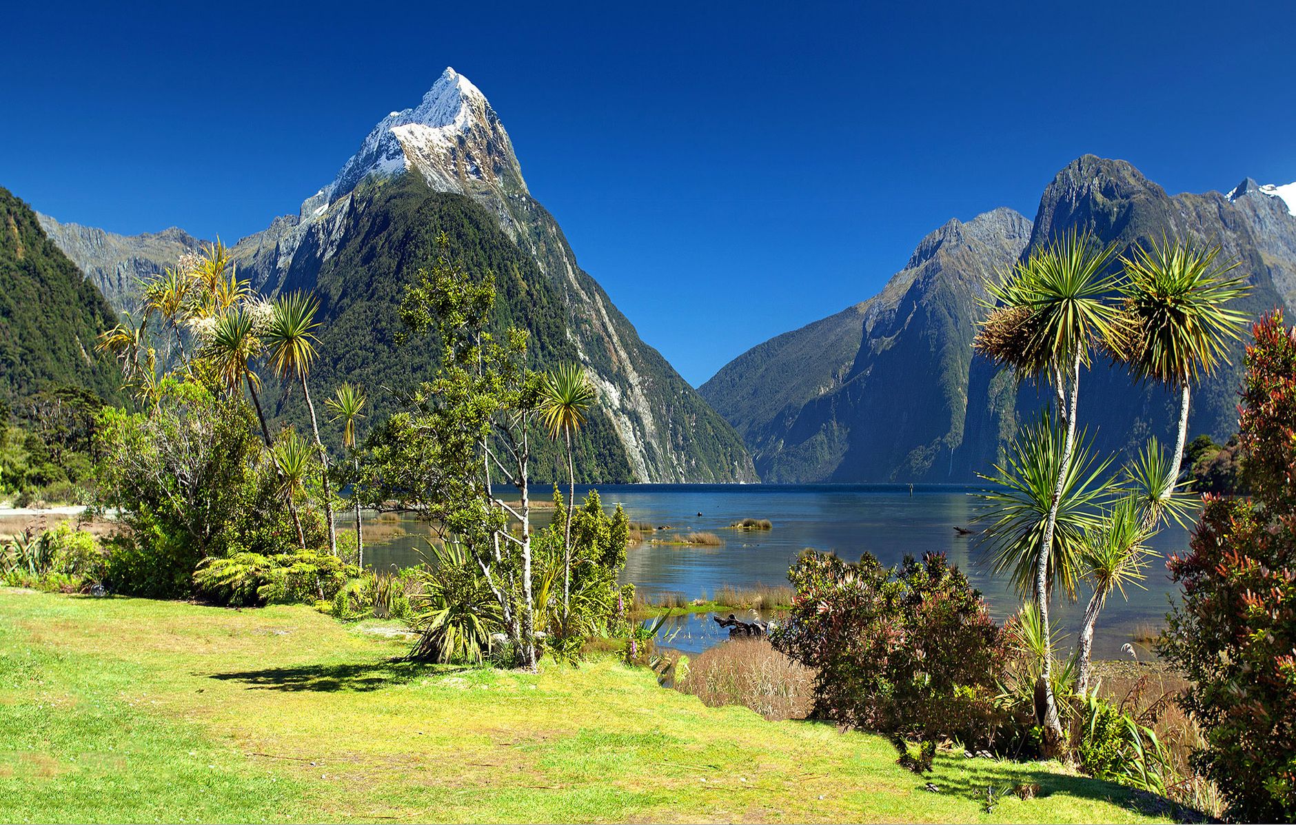 Milford Sound Fjord Travel Guide